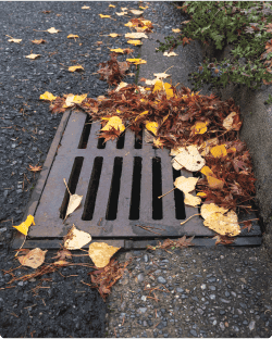 Urban Stormwater